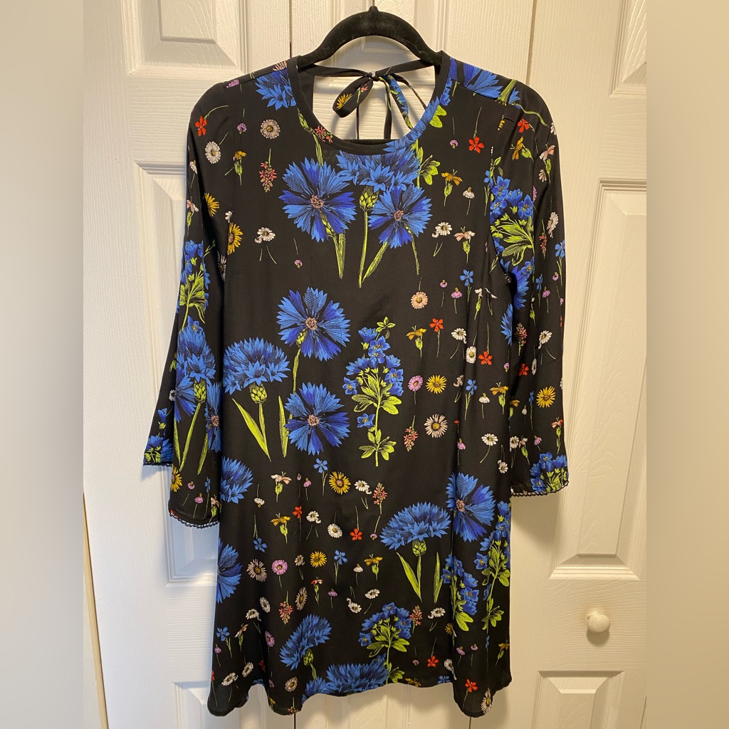 Rare Silk Anthropologie Mini Dress